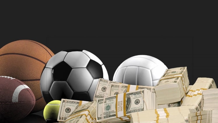 Real Facts About Sports Betting Every Newbie Should Know
